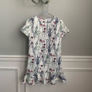 Petite XXS Anthropologie Shift Dress